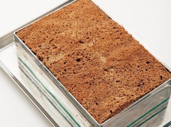 step28: 用手輕輕按壓27中放上的巧克力軟餅，讓軟餅和咖啡巴巴露亞麵糊緊密貼合，接著放進冰箱冷藏凝固。