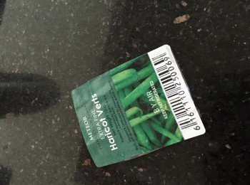 step1: 1.水滾後將法豆煮2至3分鐘，隔水，備用