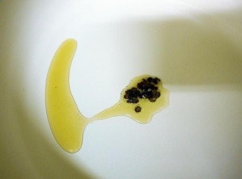 step4: 起鍋下一大匙香油將椒麻粒煎至香氣出來，把椒麻粒撈出(勿大火椒麻粒會焦)