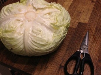 step1: 高麗菜，把菜心去除，整顆趟熟，取出放涼後，一葉一葉小心的取下來