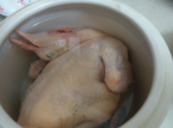 step3: 整理一下鴿子，放入燉盅，加入2碗水。（喜歡的話可以加少量枸杞和蓮子）