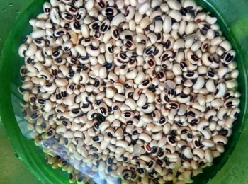 step2: 眉豆提前30分鐘泡水備用。