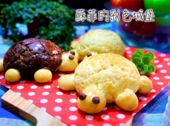 step13: 可愛的小烏龜，爬出爐了！！！！