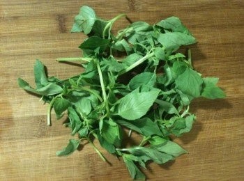 step1: 挑選九層塔：將有黑斑、不健康的九層塔拿掉，只留下新鮮且翠綠的九層塔。