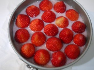 step14: 70g新鮮草莓加上7g砂糖打泥，依上述作法，煮成草莓醬，加入白開水拌勻，再加入已泡軟的吉利丁一片。

拌勻後倒在已經凝結的慕斯上方，接著擺入切去蒂頭的草莓。

(蒂頭被平平切掉的草莓比較不會東倒西歪喔)

(又，我圖片中的慕斯頂部其實是70的草莓加上100的牛奶，但我覺得效果不佳，建議加入白開水，以做成顏色更輕透迷人的草莓凍喔！)