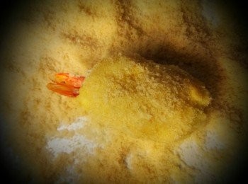 step5: 成品後下鍋半煎炸即可