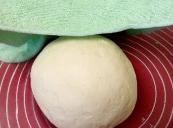 step1: 包子皮做法： 將酵母+溫開水攪拌均勻備用。
然後將所有麵團材料攪拌均衡揉方式成團待发酵。（用攪拌機或者手動都可以）（注意：不需要很用力！）