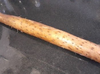 step4: 鮮淮山清洗後去皮