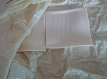 step1: 將齋鴨打開加兩片芝從新包好,
用慢快煎香。