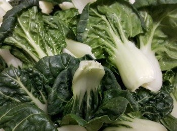step5: 白菜