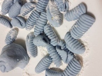 step7: 可自由變換造型