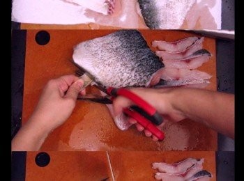 step4: 魚腩洗淨，抹乾，剪去魚鰭後按厚度大約1cm切塊，