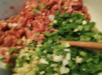 step1: 糯米提前浸泡（4小時以上），除糯米外把其他所有材料都和肉末混合。