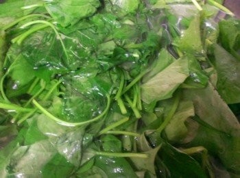 step2: 水滾(水量不要太少約要地瓜葉的二倍多)加一匙鹽~蓋鍋蓋(這樣較可以保持顏色)悶煮3~5分鐘 ( 視個人喜愛的軟硬) 撈起瀝乾水份~