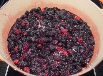 step6: 煮滾後轉中小火熬煮20分鐘,過程中稍微攪拌一下。