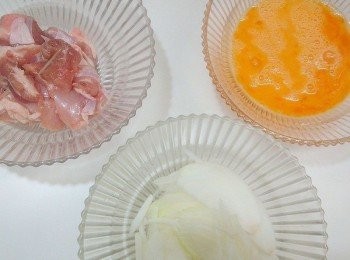 step1: 洋蔥切絲,雞肉切小塊,蛋打散備用