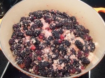 step5: 開始熬煮果醬...