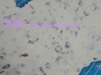 step4: 之後壓成一塊厚薄隨意的形狀