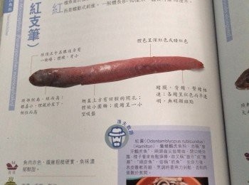 step1: 1紅鱣.劏好洗淨；