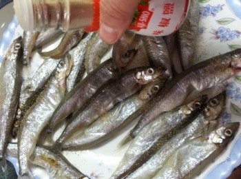 step3: <a href="https://cook1cook.com/shop/item/741?utm_source=cook1cook&utm_medium=recipeingredients&utm_campaign=o" target="_blank" data-keyword="多春魚" class="guide-link"><strong>多春魚</strong></a> <span style="display:inline-block;vertical-align:middle;margin-top:-3px;color:initial;border-radius:3px;padding:2px 3px;font-size:12px;line-height:14px;background:#87d300;color:#fff;">即買</span> 兩邊灑上味椒鹽待入味,放入雪櫃雪30分鐘抽乾水份(不用包保鮮紙)