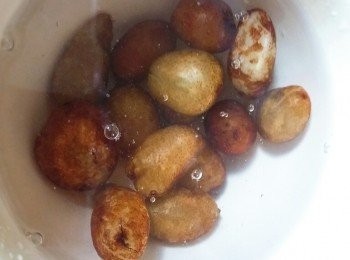 step2: 石黃皮用牙刷刷去表面污垢，清洗乾淨，用刀略為拍鬆，備用。