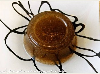 step2: 將黑木耳健康凍自容器中脫模取出，並直接擺放在盤子上。