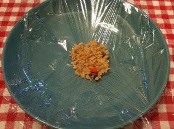 step11: 取出一個盤子，放上保鮮膜，舖上步驟9的炊飯。