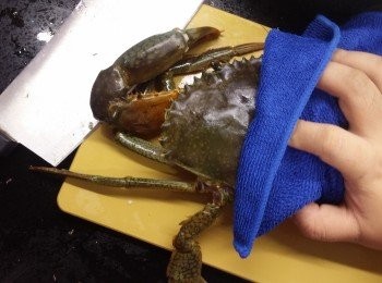 step2: 劏蟹方法:
最好用中式刀，千其唔好剪走條草繩!!!用毛巾包住蟹既半邊(因為仲郁緊)，用刀鋒最尾果個角位，斜斬去<a href="https://bit.ly/2YzwBVG" target="_blank" data-keyword="蟹鉗" class="guide-link"><strong>蟹鉗</strong></a> <span style="display:inline-block;vertical-align:middle;margin-top:-3px;color:initial;border-radius:3px;padding:2px 3px;font-size:12px;line-height:14px;background:#87d300;color:#fff;">即買</span> 同蟹身個位，
可能要斬多幾下(小心手)，先將<a href="https://bit.ly/2YzwBVG" target="_blank" data-keyword="蟹鉗" class="guide-link"><strong>蟹鉗</strong></a> <span style="display:inline-block;vertical-align:middle;margin-top:-3px;color:initial;border-radius:3px;padding:2px 3px;font-size:12px;line-height:14px;background:#87d300;color:#fff;">即買</span> 分開，
另一邊同樣做法，之後可拿走草繩