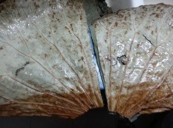 step12: 再1分為2成2張(每張荷葉共有二層)