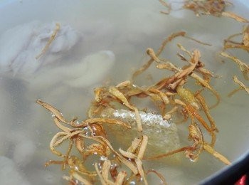 step3: 雞腿肉加水約2000c.c.，再加入北蟲草燉煮