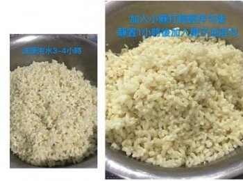 step1: 圓糯米洗淨，用清水浸泡3-4小時後，瀝乾水份，混入小蘇打粉，拌勻後靜置1小時,米會呈淡黃色(拍照照不太出來)；接著再拌入10g的椰子油(或其他油品）。