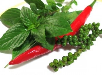 step1: 九層塔、辣椒、綠胡椒