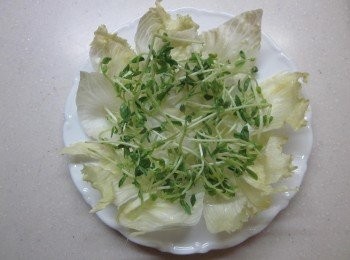 step3: 將生菜及碗豆芽擺盤,放上雞肉後淋上作法2即可上桌