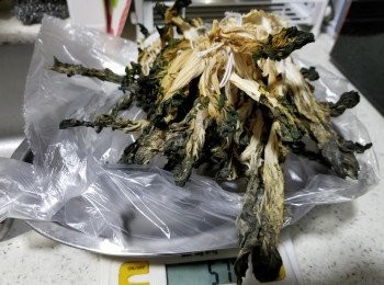 step8: 曬一星期就可以喇,2斤大白菜可以曬出一兩半菜亁