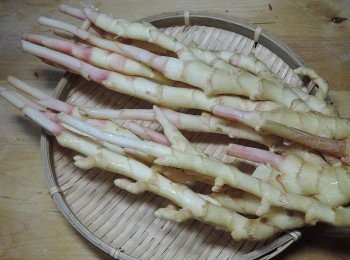 step1: 選嫩薑的時候要注意幾點：1、前端紅色部分越紅，表示嫩薑越辣，2、中元節過後的嫩薑會比較辣