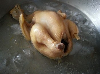 step3: 將已經浸熟的雞浸於凍開水的冰水中(作用是令雞皮更爽)