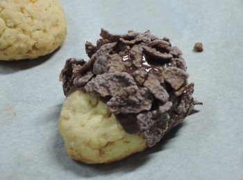 step6: 然後撒上玉米脆片後放乾