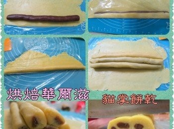 step2: 5.(全部的麵糰約可做3條貓掌餅乾),各先取1/3的麵糰,一份原味麵糰滾圓分2大4小個,可可也分1大4小個分別滾成條狀,每一個原味桿開包入一個條狀可可麵糰,(大包大,小包小注意桿開上下都放保鮮膜會比較不會粘墊子),排成下方為大麵糰上方排4小麵糰(如照片圖),最後再把大的原味麵糰桿開,再把排好的麵糰包起,外用保鮮膜包好約成扇形,冷凍1-2小時至硬再拿出切片
