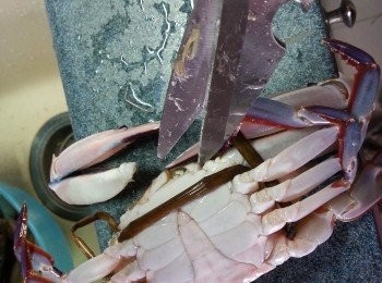 step4: 用了三隻三點蟹,先用廚剪剪去蟹兩隻<a href="https://bit.ly/2YzwBVG" target="_blank" data-keyword="蟹鉗" class="guide-link"><strong>蟹鉗</strong></a> <span style="display:inline-block;vertical-align:middle;margin-top:-3px;color:initial;border-radius:3px;padding:2px 3px;font-size:12px;line-height:14px;background:#87d300;color:#fff;">即買</span> 