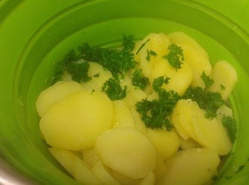 step4: 將葉剪碎。