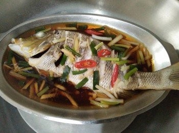 step2: 用大鍋把水燒滾，將青嘴龍占魚【澎湖野生水產】放入大火清蒸15分鐘。 並在青嘴龍占魚【澎湖野生水產】身上鋪好薑絲，淋上少許的醬油和水，