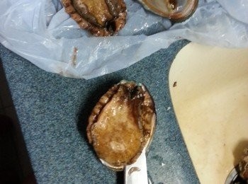 step1: 新鮮鮑魚用刀仔沿個邊界入起出肉,底部腸部份不要