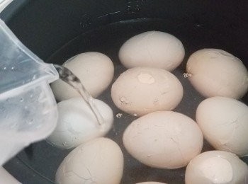 step5: 再將雞蛋放回電飯煲內,加入水份蓋過雞蛋。