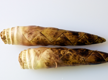 step4: 沿春筍的長度用刀把筍皮剞開，剝去筍皮，把根部老的部份切掉。筍尖空心的部份也同時去掉。