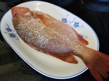 step4: 紅魚