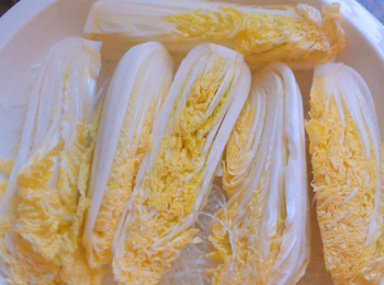 step6: 粉絲墊在盤底，跟著把娃娃菜鋪在上面