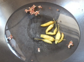 step5: 鍋裡重新加入泡椒、花椒，燒開。
