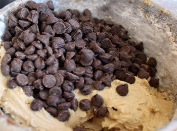 step5: 拌入可可粉及巧克力碎片