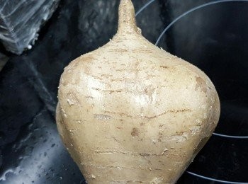 step19: 是用了這款沙葛，亦可以用馬蹄代替