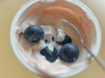 step2: 然後用牙籤插一粒藍莓（或用匙羹），放入乳酪內，沾滿乳酪